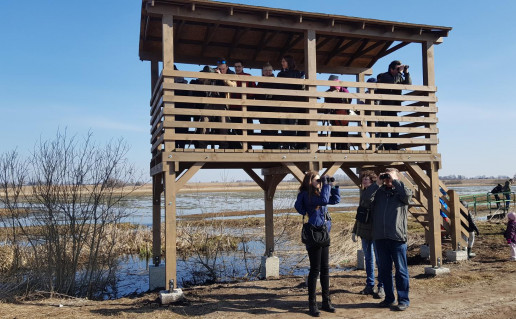 5_Amalvo polderio paukščių stebėjimo bokštelis.jpg